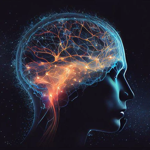 Neuralinks Vision Chip